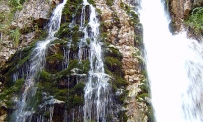 Busteni 1